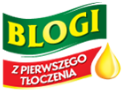 Portfolio Sidnet Kujawski "Blogi z pierwszego tłoczenia"